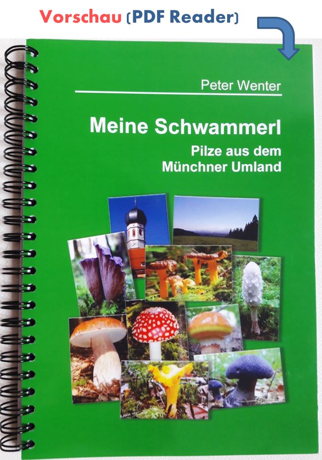 Pilzbuch Schwammerlbuch München Umland